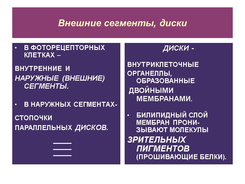 Внешние сегменты, диски В ФОТОРЕЦЕПТОРНЫХ КЛЕТКАХ –  ВНУТРЕННИЕ  И   НАРУЖНЫЕ
